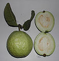 Thumbnail for version as of 04:48, 19 December 2007