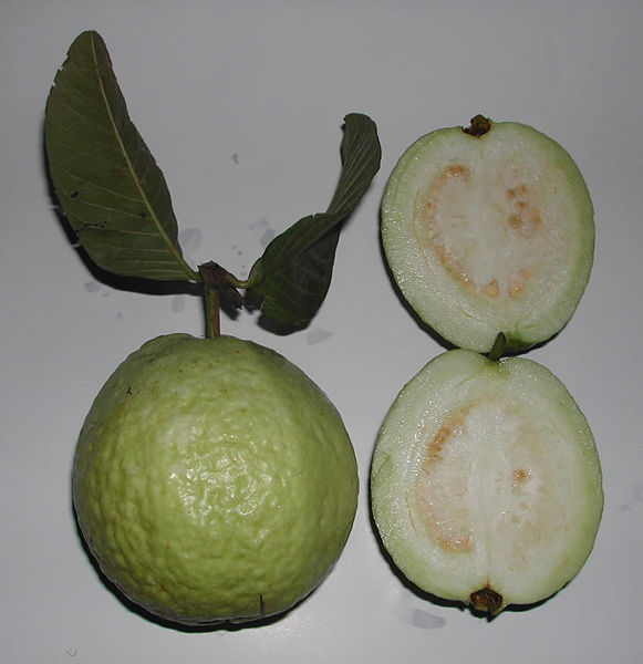 File:Psidium guajava fruit.jpg