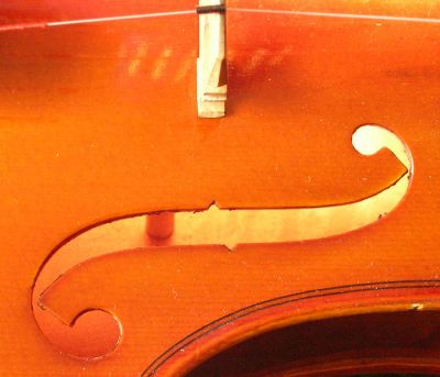 Violin - New World Encyclopedia