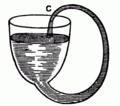Thumbnail for version as of 14:47, 3 July 2006