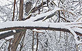 Thumbnail for version as of 18:45, 26 July 2007