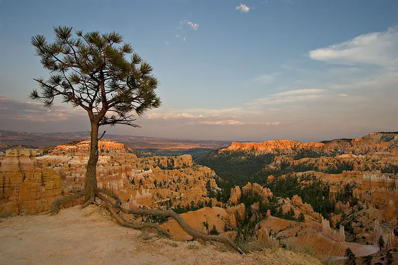 File:Bryce Canyon 1 md.jpg