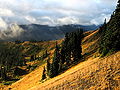 Thumbnail for version as of 02:57, 3 June 2008