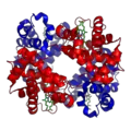 Thumbnail for version as of 07:00, 16 November 2007