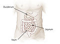Thumbnail for version as of 15:44, 17 December 2007
