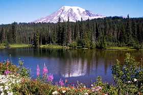 Mount Rainier in Washington state