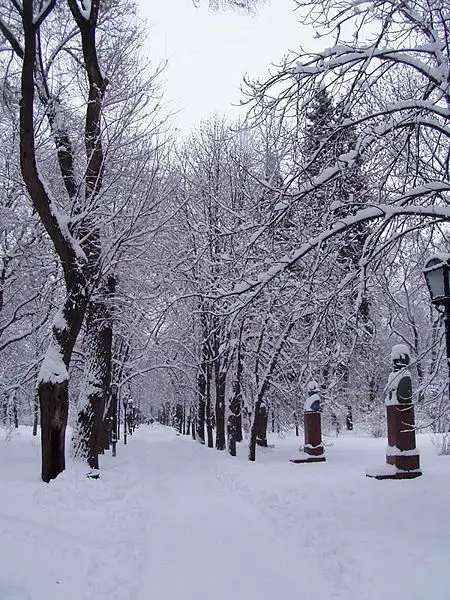 File:Chisinau Winter.jpg
