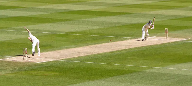 File:Cricket picture.jpg