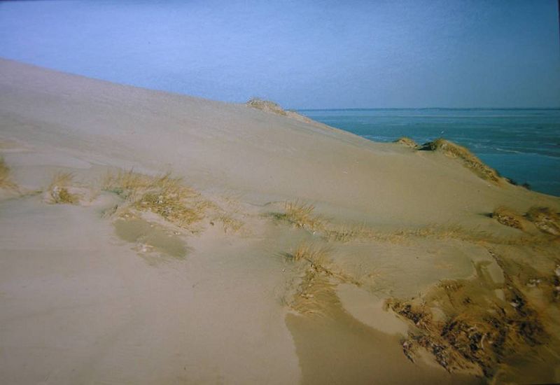 File:Curonian spit.jpg
