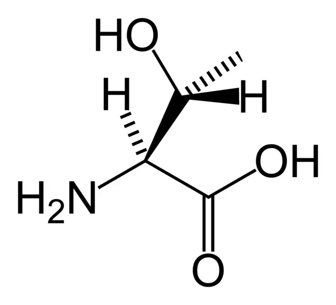 File:L-threonine-skeletal.png