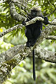 Thumbnail for version as of 07:39, 5 March 2007
