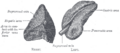 Thumbnail for version as of 13:12, 30 June 2006