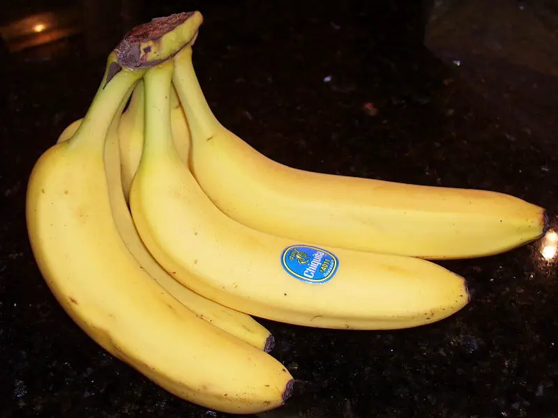 File:Bananas on countertop.JPG