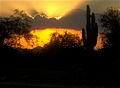 Thumbnail for version as of 19:58, 12 December 2007