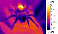 Thumbnail for version as of 21:51, 12 November 2007