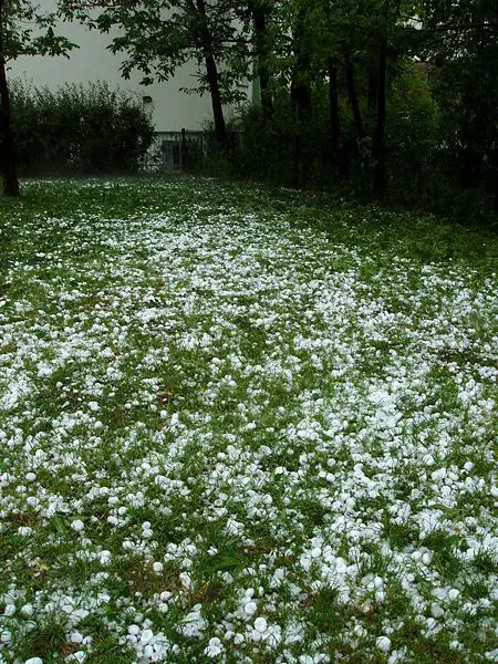 File:A field of hailstones.jpg