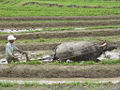 Thumbnail for version as of 15:07, 7 November 2006