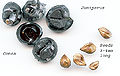 Thumbnail for version as of 14:10, 20 November 2008