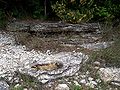 Thumbnail for version as of 21:15, 31 July 2007