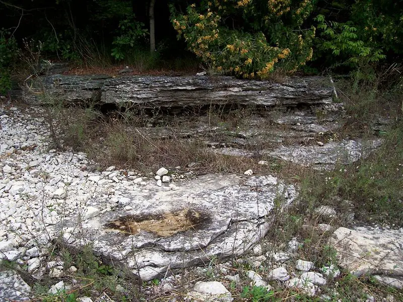 File:NiagaraEscarpmentOutcroppings LakeMichiganShore.jpg