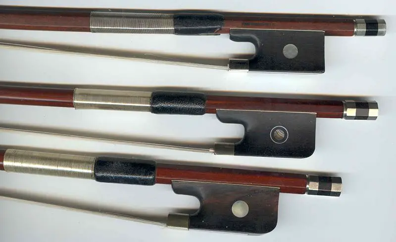 File:Three bow frogs.jpg