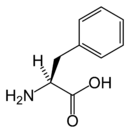 Chemical structure of Phenylalanine