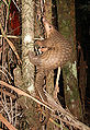 Thumbnail for version as of 16:21, 23 August 2008