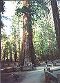 Thumbnail for version as of 22:32, 10 May 2006