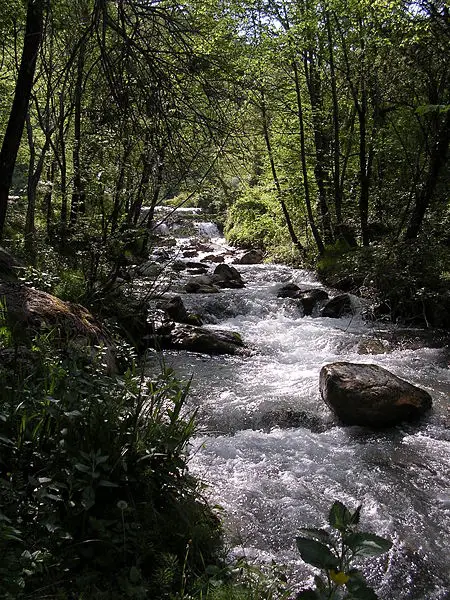 File:Ambro-creek.jpg