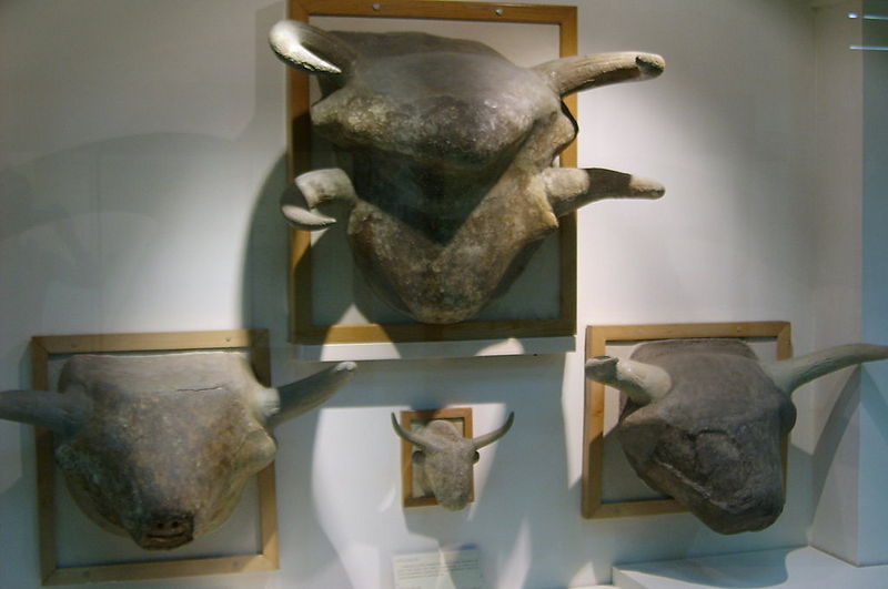 File:Catal Hüyük, bull heads.JPG