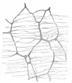 Thumbnail for version as of 23:41, 6 November 2008