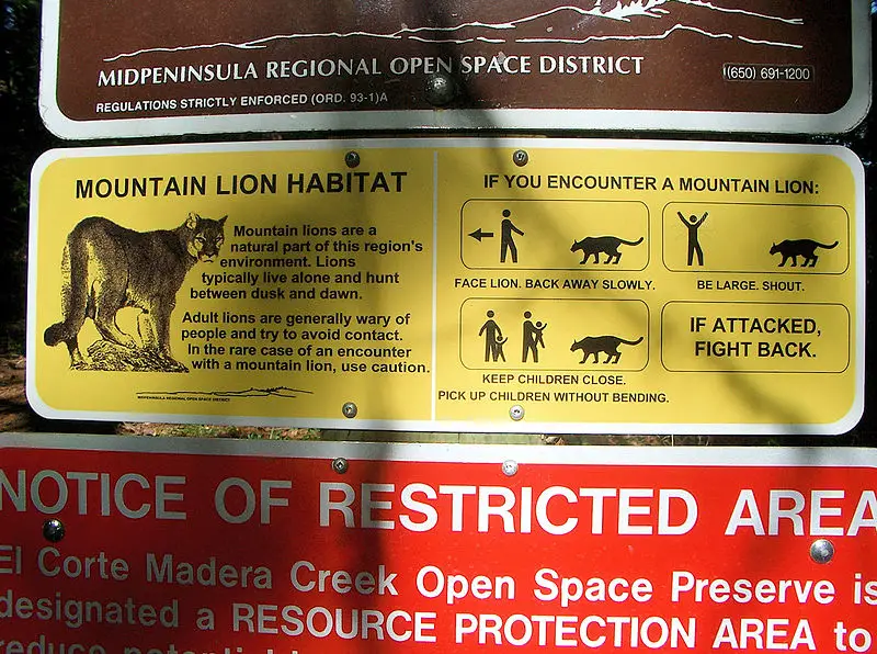File:MountainLionAttackProtocol.jpg