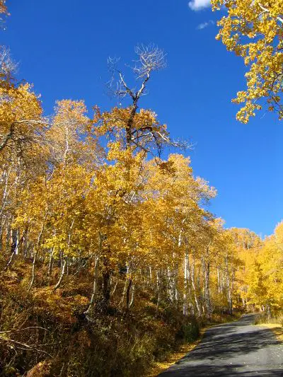 Utah - New World Encyclopedia