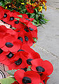 Thumbnail for version as of 03:54, 12 December 2008