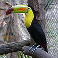 Thumbnail for version as of 01:40, 27 November 2008