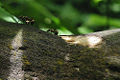 Thumbnail for version as of 23:52, 6 October 2007