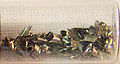 Thumbnail for version as of 23:11, 6 February 2007