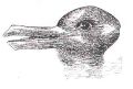 Thumbnail for version as of 23:26, 1 September 2008