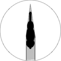 Thumbnail for version as of 20:20, 18 August 2008
