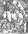 Thumbnail for version as of 01:24, 31 May 2007
