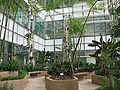 Thumbnail for version as of 12:57, 13 June 2008