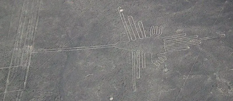 File:Nazca colibri.jpg