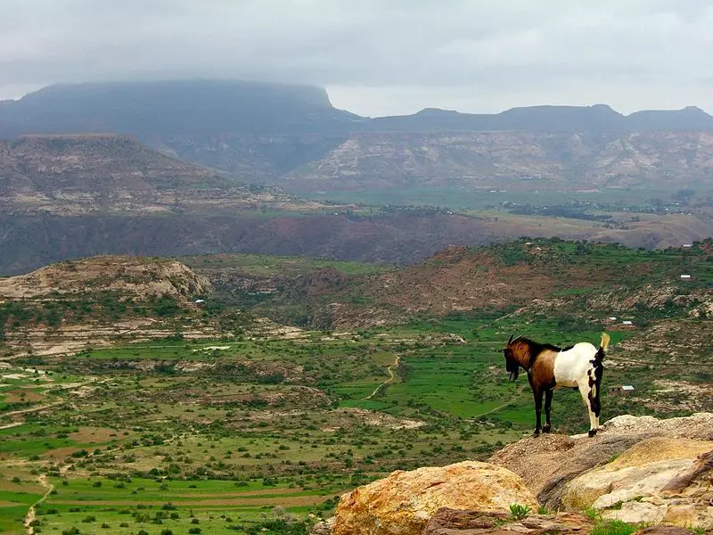 File:Ethiopian highlands 01 mod.jpg