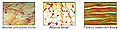 Thumbnail for version as of 19:10, 7 April 2007