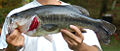 Thumbnail for version as of 21:35, 15 September 2007