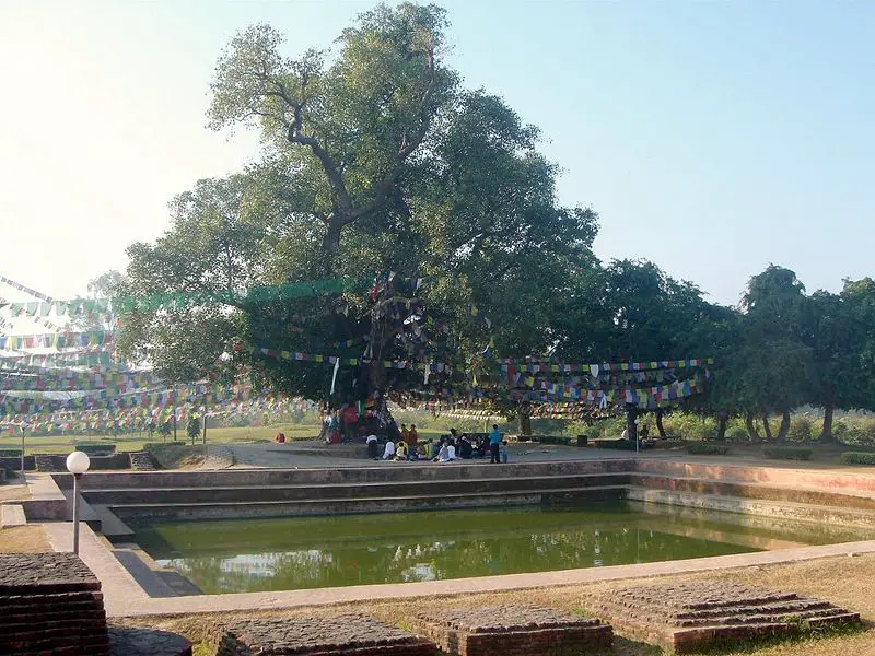 File:Lumbinibodhi.jpg