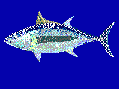 Thumbnail for version as of 19:33, 29 April 2007