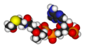 Thumbnail for version as of 05:20, 17 August 2006