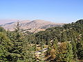 Thumbnail for version as of 02:01, 3 November 2007