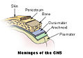 Thumbnail for version as of 22:30, 24 September 2008